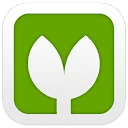 Vectorpea logo